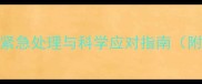 孕妇呕吐出血的紧急处理与科学应对指南附专业医生建议