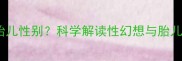 孕期性幻想预示胎儿性别科学解读性幻想与胎儿发育的五大真相