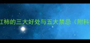 孕妇吃西红柿的三大好处与五大禁忌附科学依据