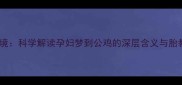 孕期梦境科学解读孕妇梦到公鸡的深层含义与胎教建议