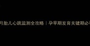 三个月胎儿心跳监测全攻略孕早期发育关键期必看