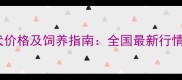 两个月大泰迪幼犬价格及饲养指南全国最新行情与科学养护建议