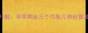 科学补充叶酸孕早期头三个月胎儿神经管发育全攻略