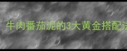9个月宝宝辅食推荐牛肉番茄泥的3大黄金搭配法辅食添加全攻略