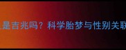 孕妇梦见甲鱼是吉兆吗科学胎梦与性别关联及胎教建议