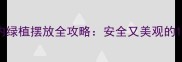 孕妇家庭必看室内绿植摆放全攻略安全又美观的12种植物及养护技巧