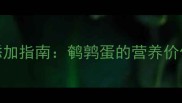 十个月宝宝辅食添加指南鹌鹑蛋的营养价值与科学食用方法