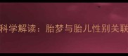 孕妇梦见生男孩的科学解读胎梦与胎儿性别关联性及孕期保健指南