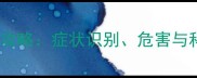 新生儿黄疸全攻略症状识别危害与科学应对指南