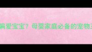 狗狗为何偏爱宝宝母婴家庭必备的宠物互动指南