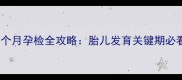 最新版七个月孕检全攻略胎儿发育关键期必看项目清单