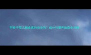 阿泰宁婴儿辅食真的安全吗成分与喂养指南全攻略