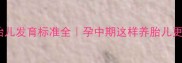 六个月胎儿发育标准全孕中期这样养胎儿更健康