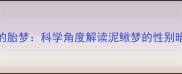 孕妇梦见泥鳅的胎梦科学角度解读泥鳅梦的性别暗示与胎教建议