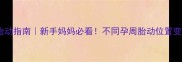 五个月胎动指南新手妈妈必看不同孕周胎动位置变化全