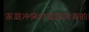 婴幼儿心理健康必读家庭冲突对宝宝发育的影响及科学应对指南
