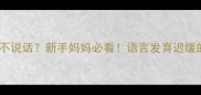 四个月宝宝突然不说话新手妈妈必看语言发育迟缓的紧急处理指南