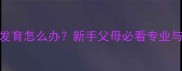 婴儿乳房发育怎么办新手父母必看专业与应对指南