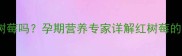 孕妇可以吃红树莓吗孕期营养专家详解红树莓的孕期食用指南