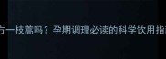 孕妇可以喝复方一枝蒿吗孕期调理必读的科学饮用指南与注意事项