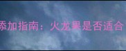 六个月宝宝辅食添加指南火龙果是否适合营养与风险全