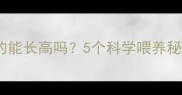 孩子吃公鸡真的能长高吗5个科学喂养秘诀家长必看