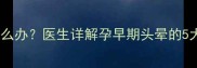 怀孕两个月头晕怎么办医生详解孕早期头晕的5大原因及缓解措施