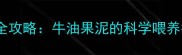 六个月宝宝辅食添加全攻略牛油果泥的科学喂养指南与营养专家建议