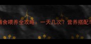 8个月宝宝辅食喂养全攻略一天几次营养搭配与注意事项