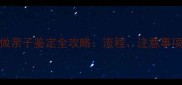 怀孕三个月做亲子鉴定全攻略流程注意事项与医院选择