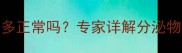 怀孕两个月白带多正常吗专家详解分泌物变化及护理指南