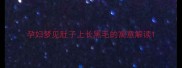孕妇梦见肚子上长黑毛的寓意解读