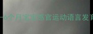 6个月宝宝早教全攻略0-6个月宝宝感官运动语言发育指南附每日互动游戏