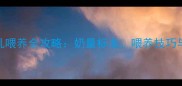 两个月宝宝母乳喂养全攻略奶量标准喂养技巧与常见问题解答