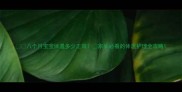 八个月宝宝体温多少正常家长必看的体温护理全攻略